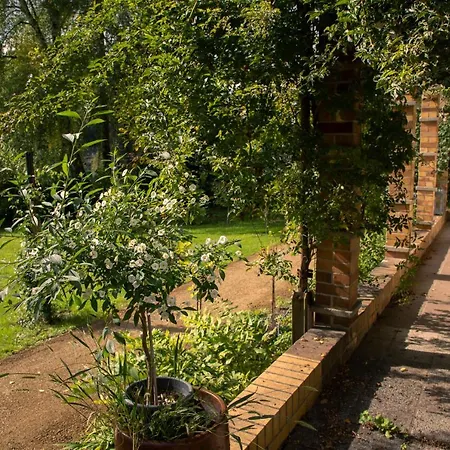 Ferienhaus Nicklas *